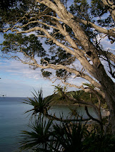 Noosa