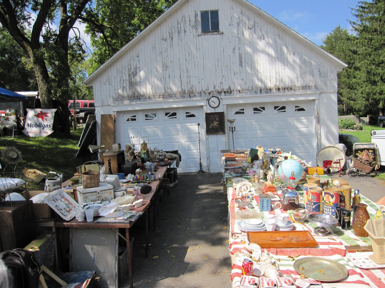 The Lazy Peacock Oronoco Gold Rush