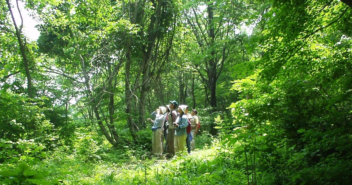 Nojiriko Hotel El Bosco Blog 癒しの森ツアー