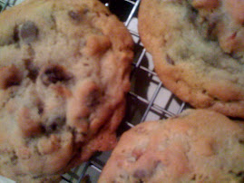 BIG Toasted Pecan Chocolate Chip Cookies