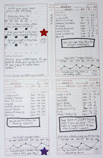 are you mad grd 4150 diet and exercise log book examples diet log book