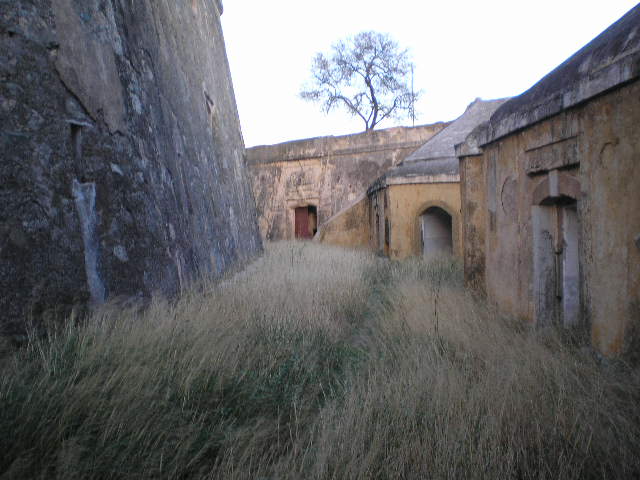[PB010227.JPG]