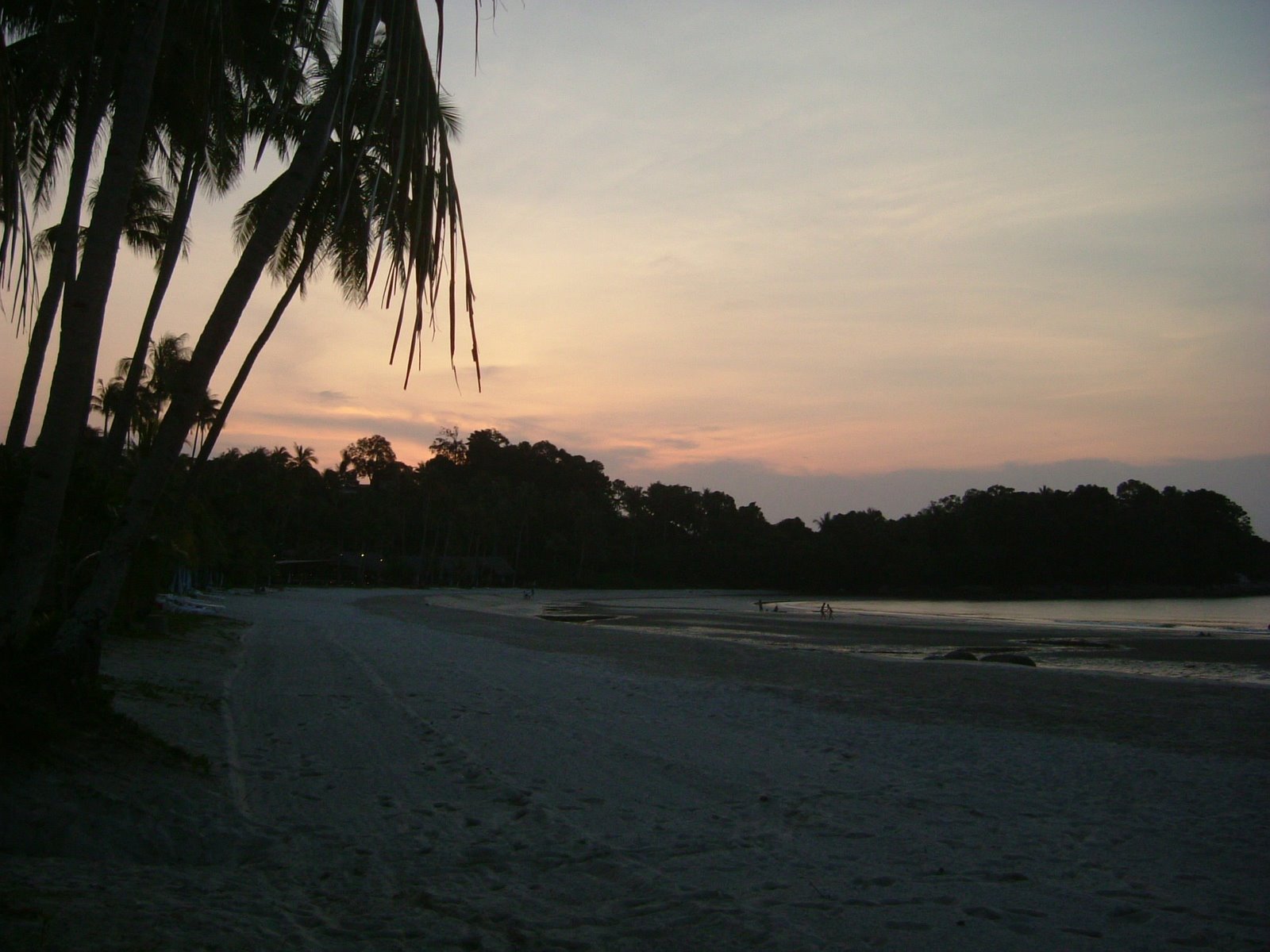 [DSCF0704.JPG]