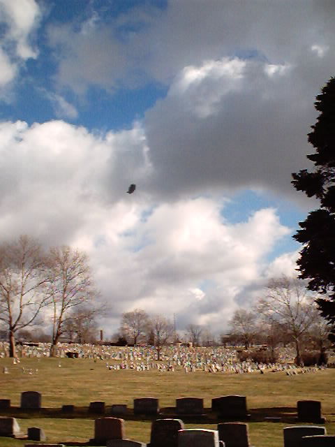 Feb. 2, 2002 ~Over Holy Cross Cemetery in Akron~