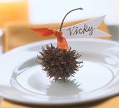 [monkey+ball+place+setting.bmp]