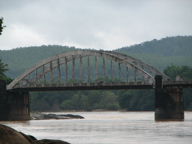 The bridge near my native house at thirthahalli