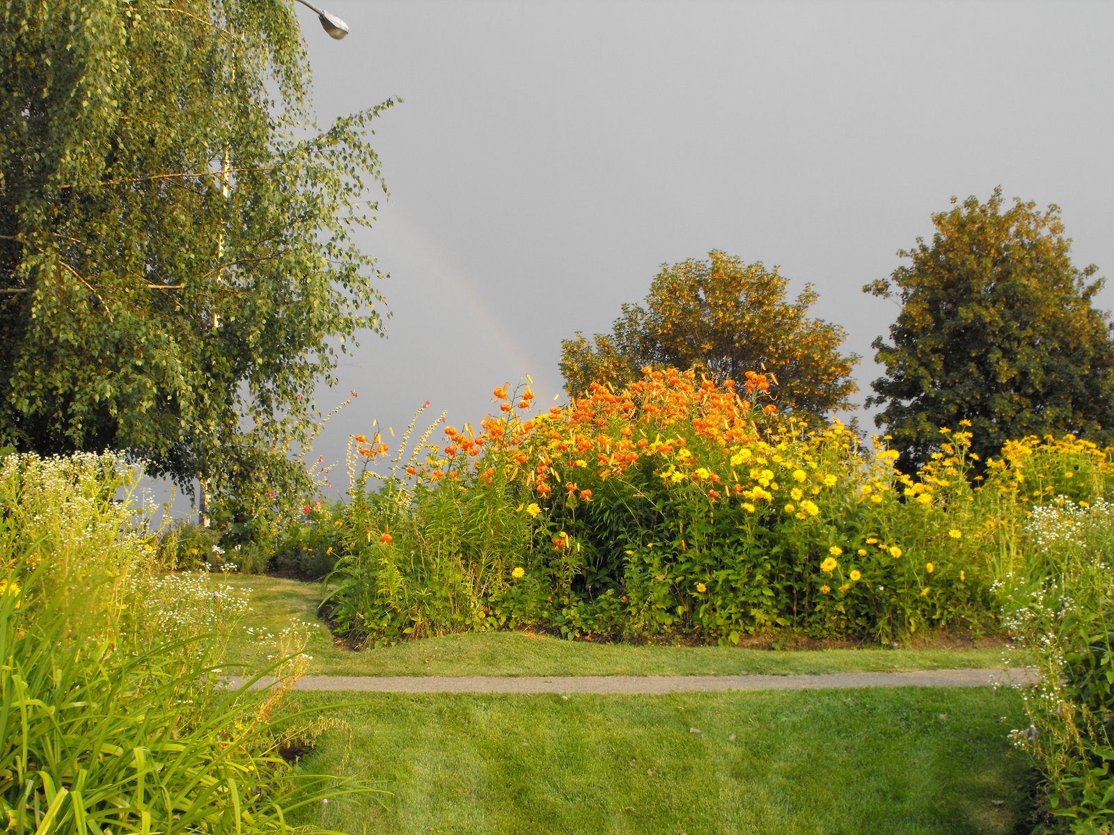 welovekamloops The Gregson Butterfly Garden McArthur Island