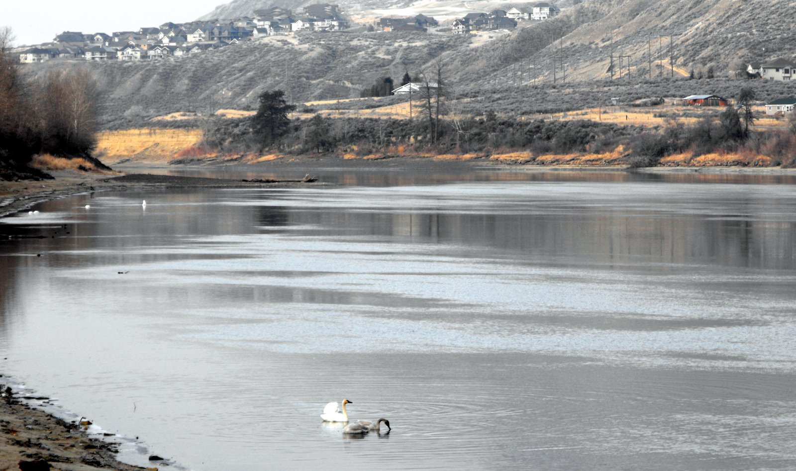 welovekamloops Snow Kamloops British Columbia