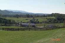 Cattle Facilities