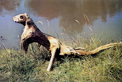 legno1.jpg