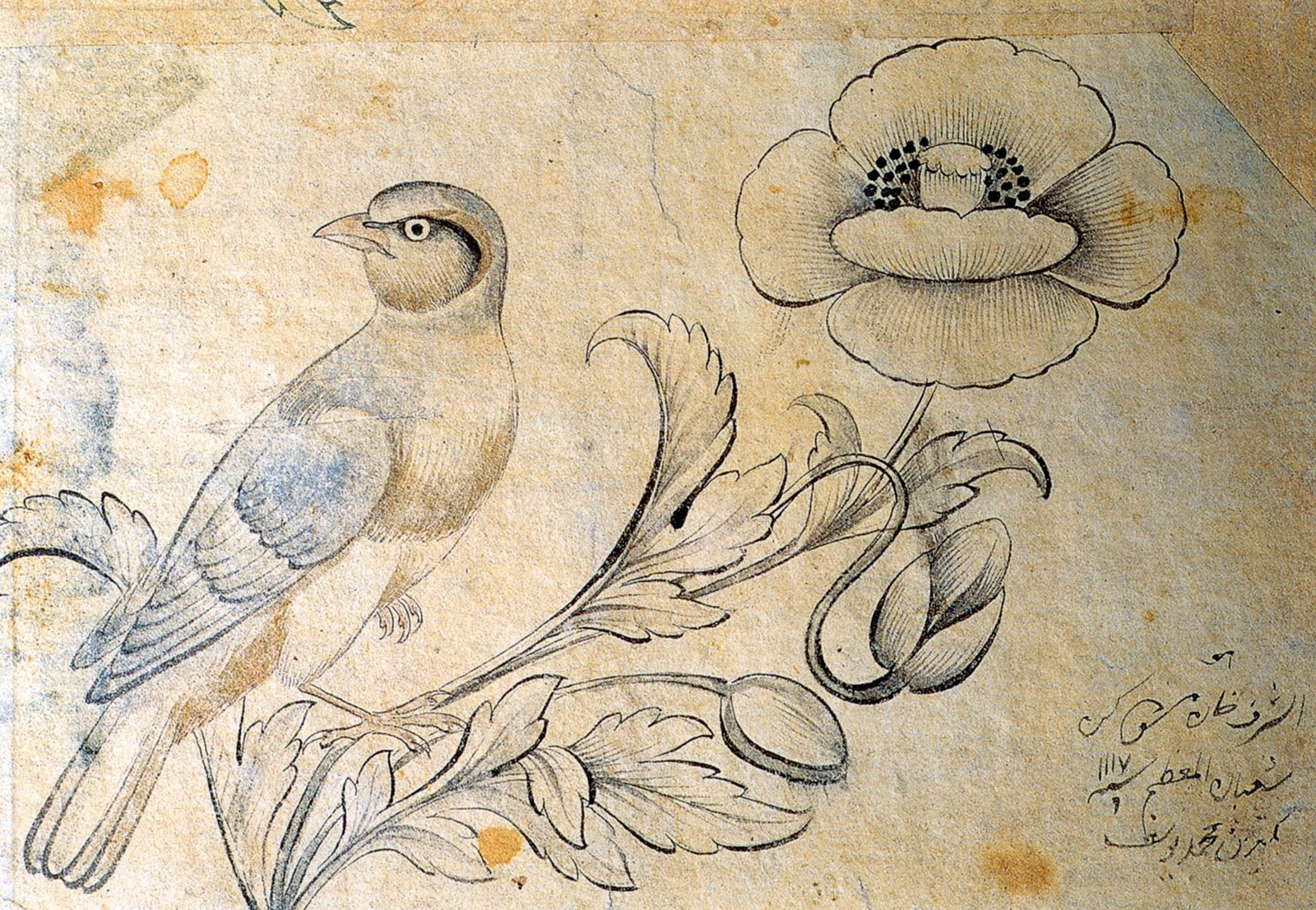 CHAUDRON Birds in Islamic Art