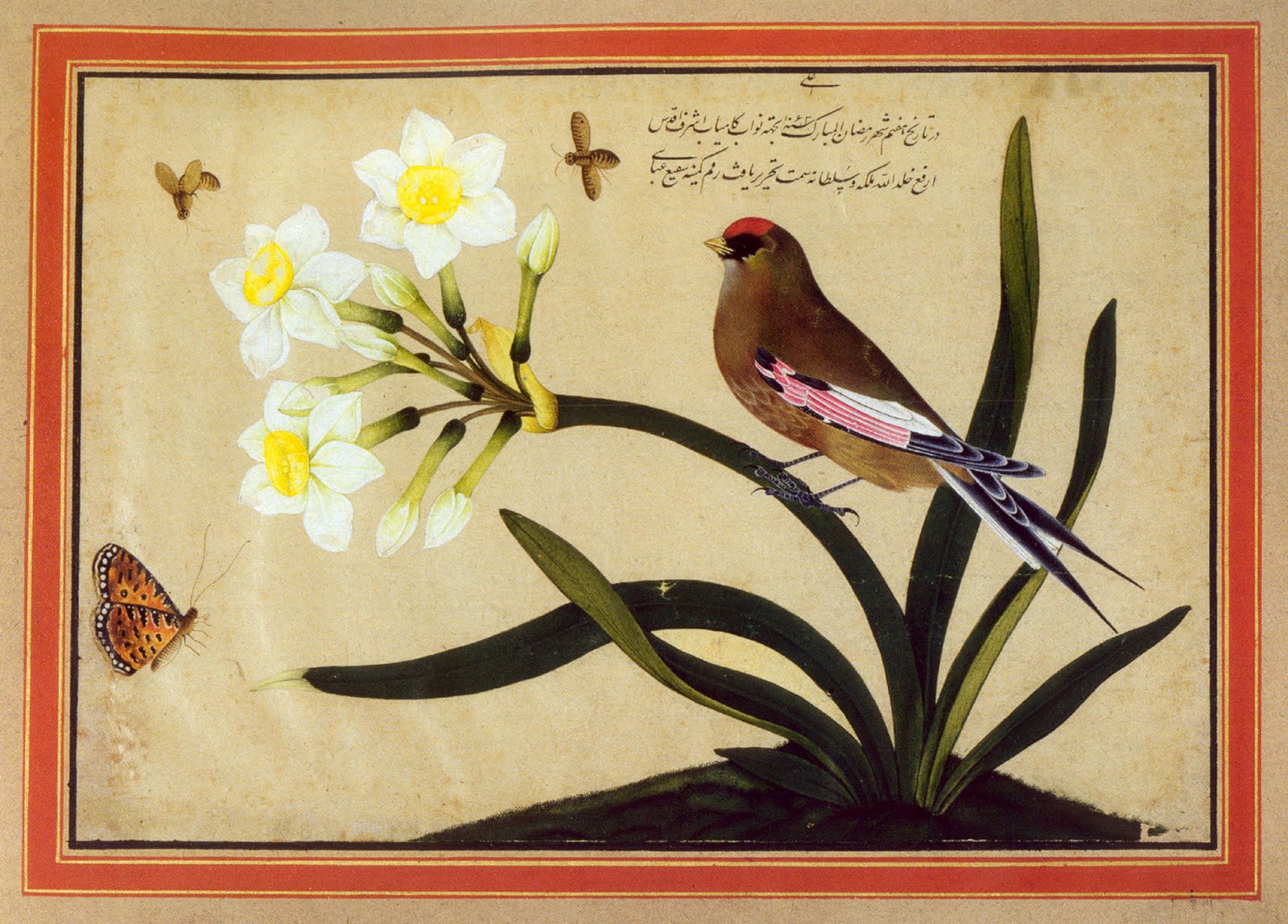 CHAUDRON Birds in Islamic Art