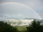 Manto de neblina del cielo friano