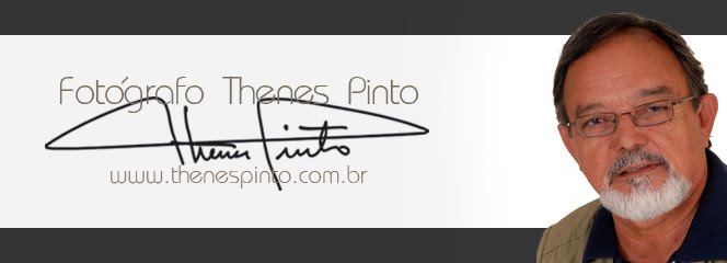 Fotojornalista Thenes Pinto