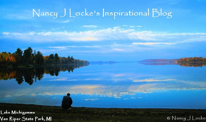Nancy J Locke\