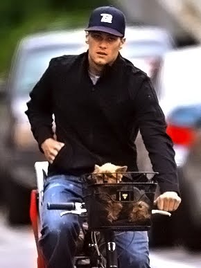 tom brady yorkie xoxo guys with adorable dogs tom brady yorkie xoxo guys with adorable dogs