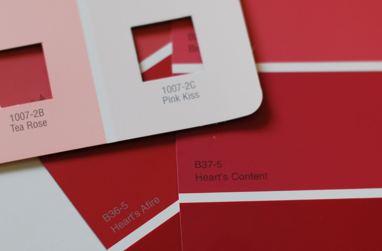 wRIte iT DOwN Valentine Crafting From Paint Sample Cards