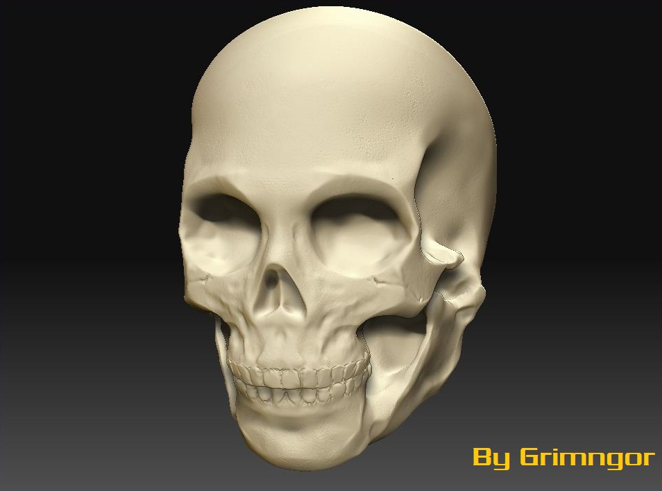 Skull1.JPG