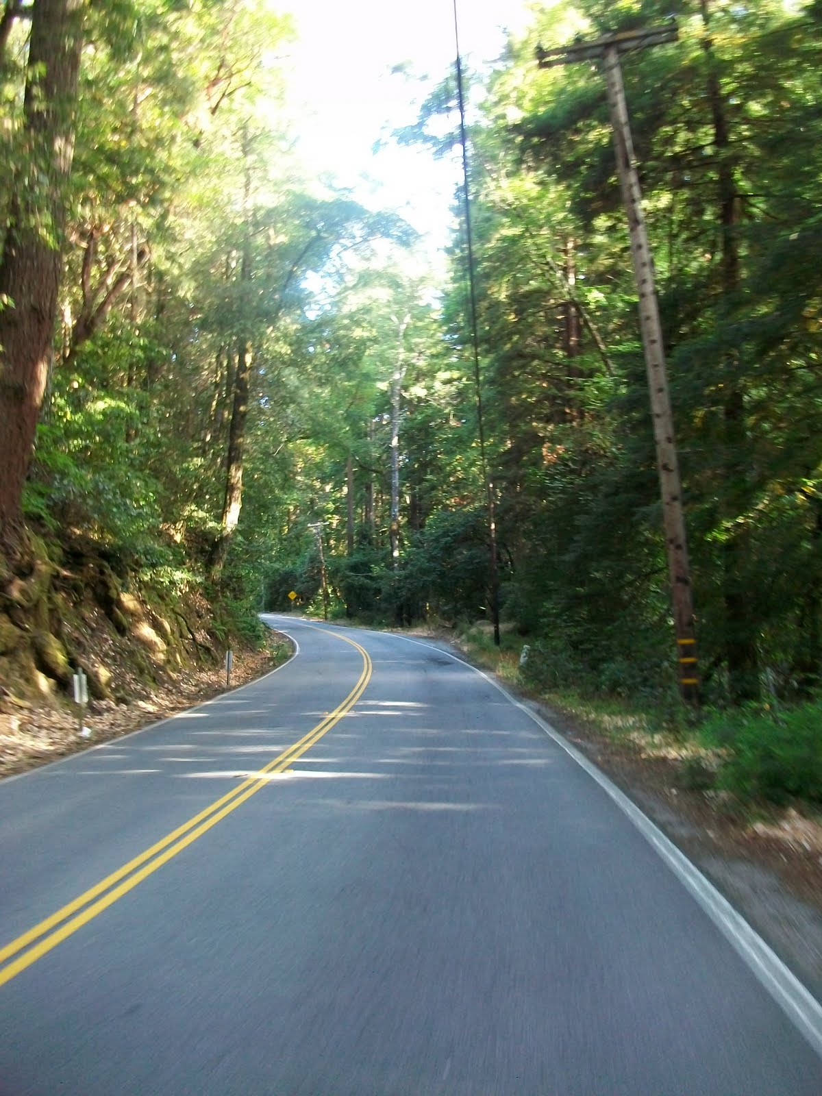 Cycling Through Santa Cruz Mountains Challenge Recapping the Passion