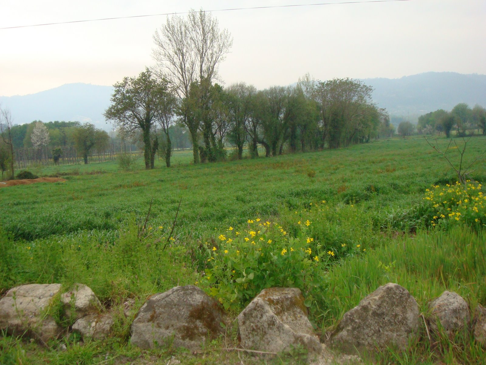 [DSC00028.JPG]
