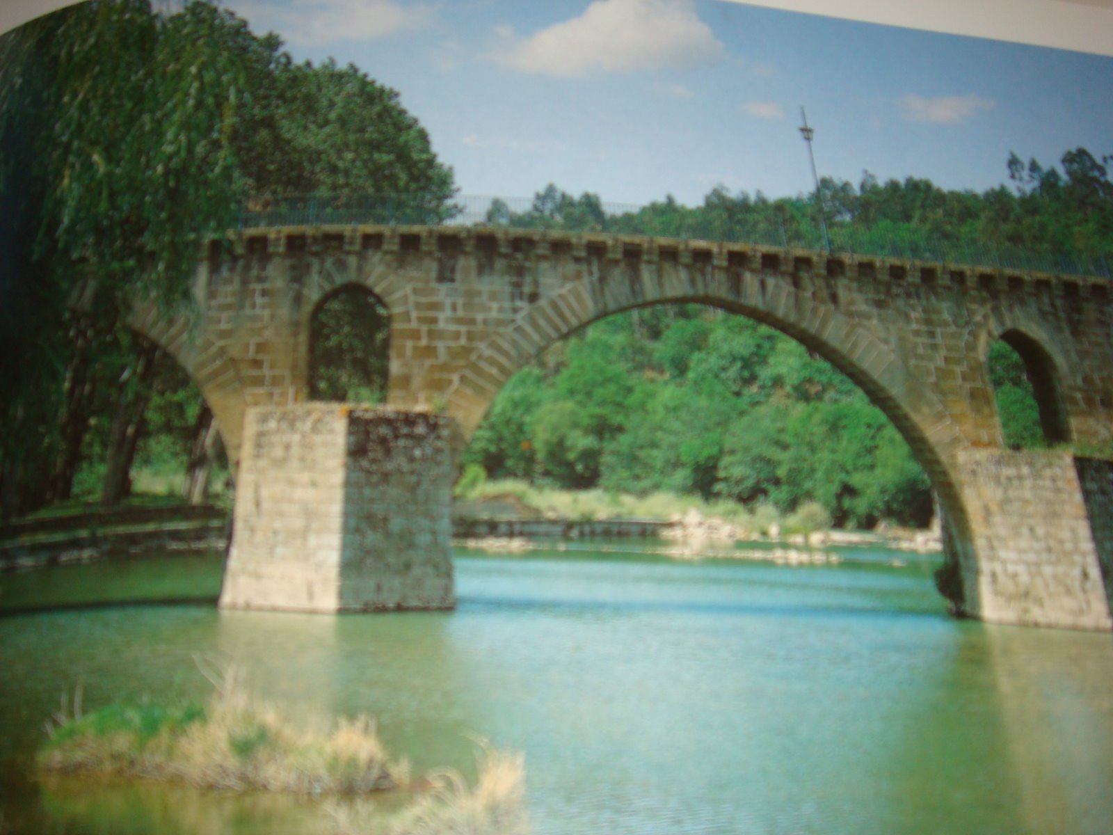 [DSC00708.JPG]