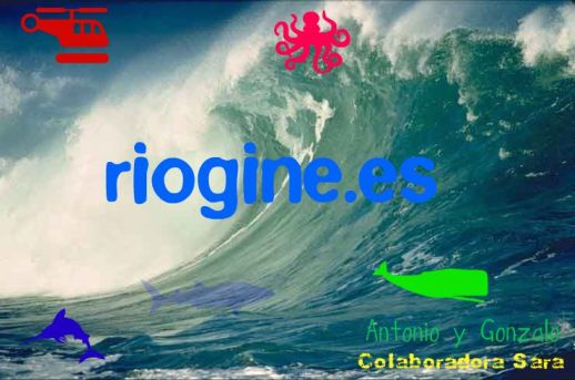 Riogine.es