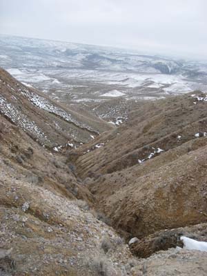 [IMG_8863.jpg]
