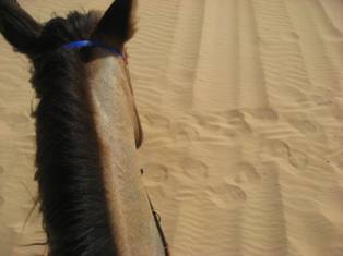[IMG_9232.JPG]