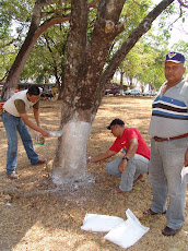 Jornada de mantenimiento