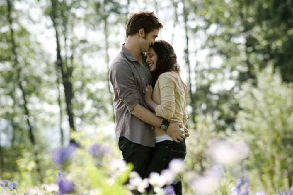 Eclipse Meadow Scene
