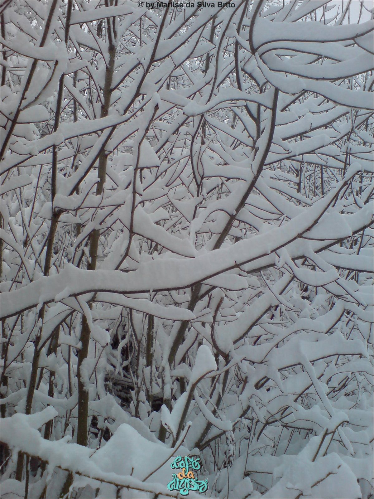 [©quiddestraße+(2).jpg]