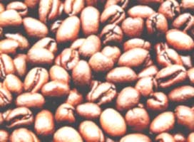 [coffee-beans.jpg]