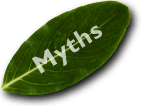[myths.GIF]