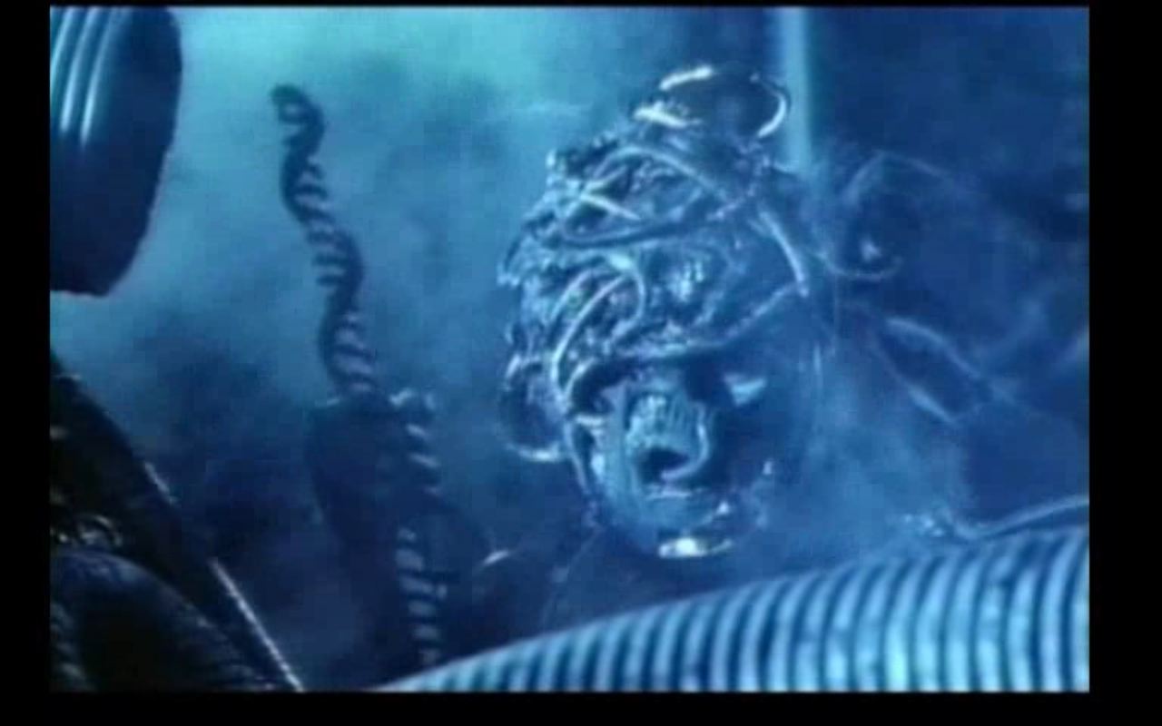 [QuickTime+PlayerScreenSnapz012.jpg]