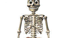 El baúl del Hada Azul: Tumbas por aquí