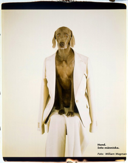 [SW_WORKS_image_2427_w500.jpg]