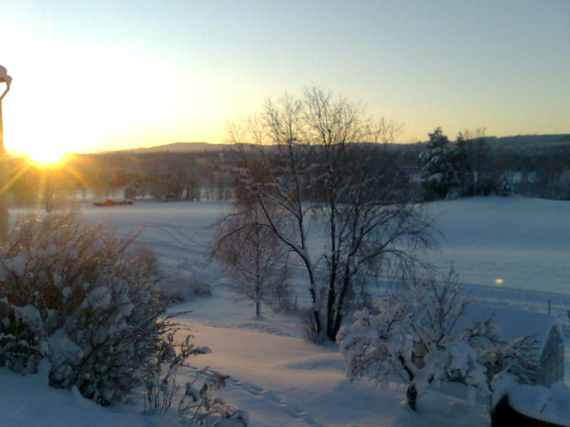 [image-upload-27-757589.jpg]