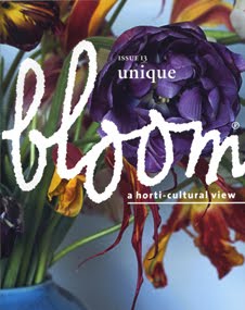 [Bloom2.jpg]