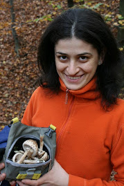 Cu faimoasele ciupercutze