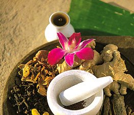 [ayurveda.jpg]