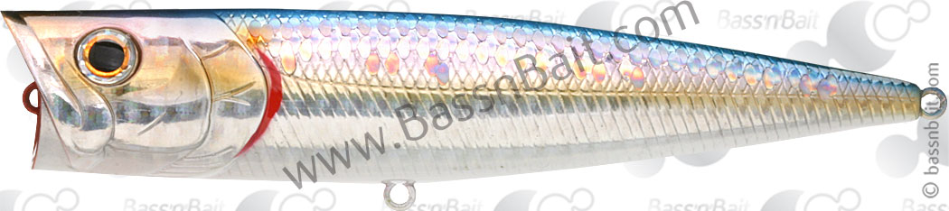 [G_SPLASH120-720_gr.jpg]