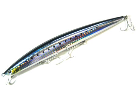 [SL_17F-G-R-IWASHI.jpg]