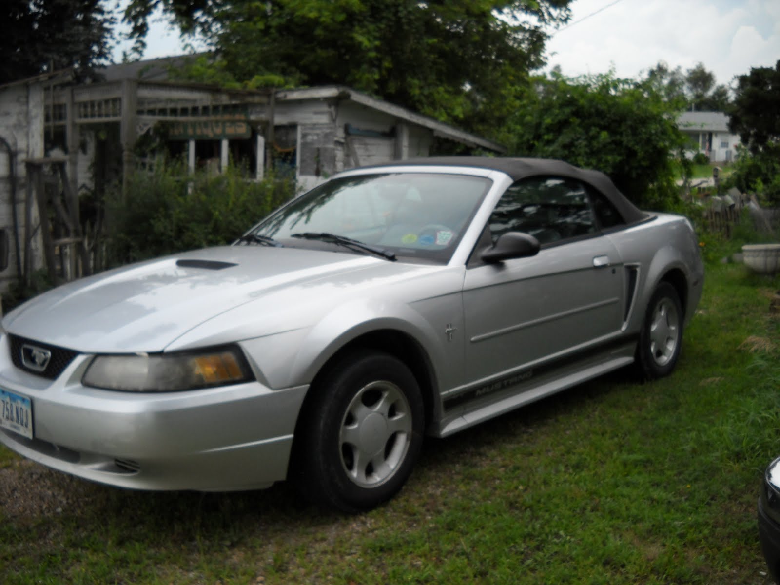simply iowa Mustang Sally...
