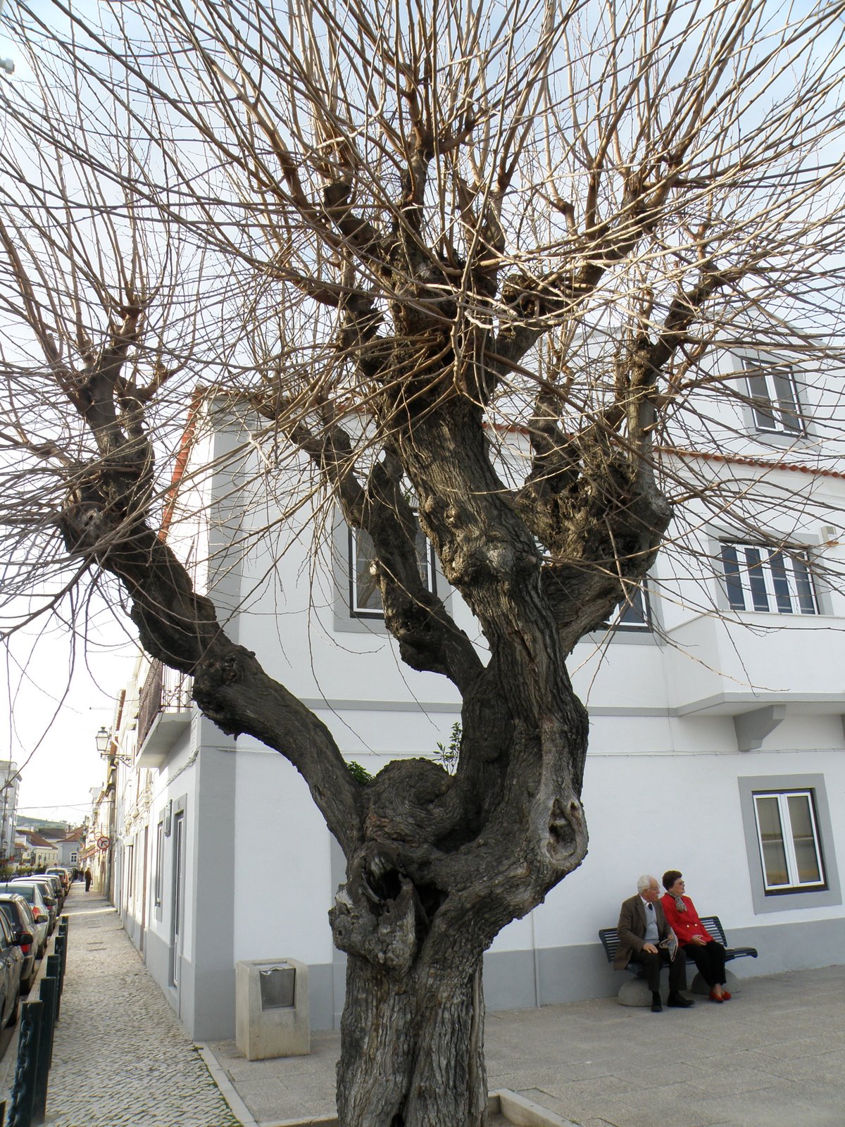 [P2151100.JPG]