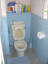 Naze Apartment (sink-toilet combo)