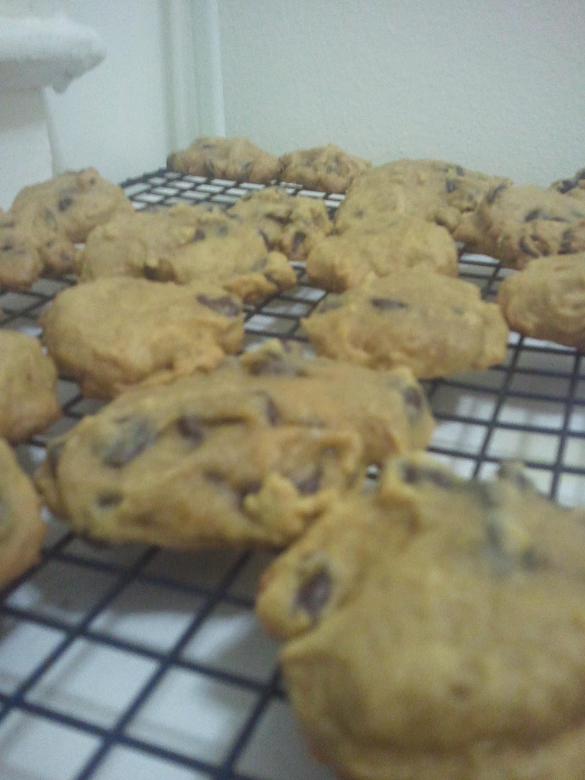 Playbills & Pageantry November 2010