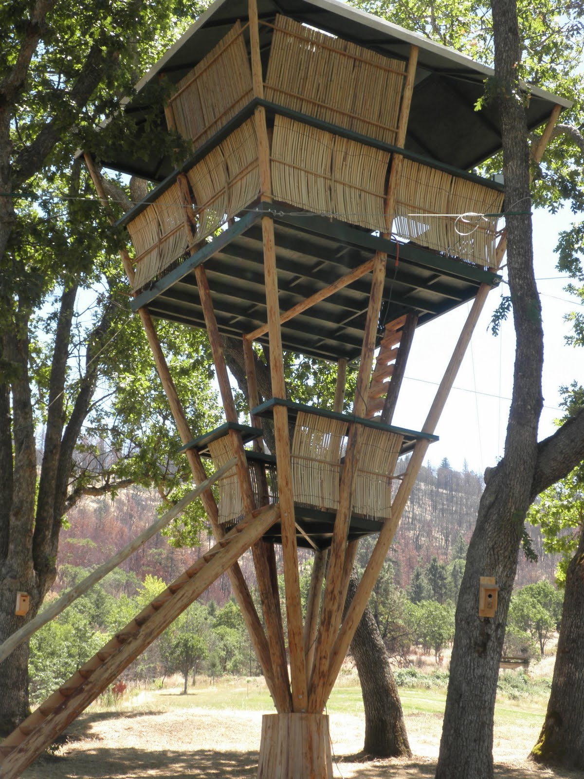 bamboo treehouse