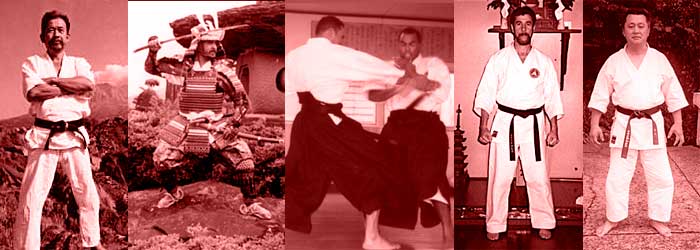 Nihon Koden Shindo Ryu Karate Do