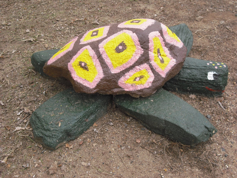 Rock Art - Turtle