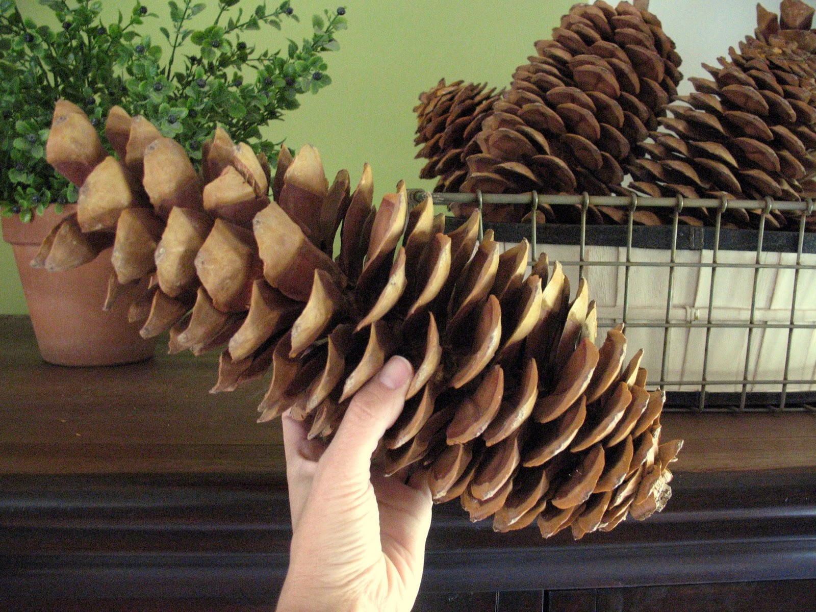 The Pink Peony of Le Jardin decorating with BIG pinecones!